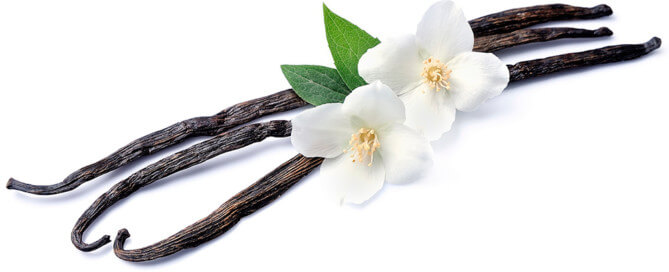 Vanilla