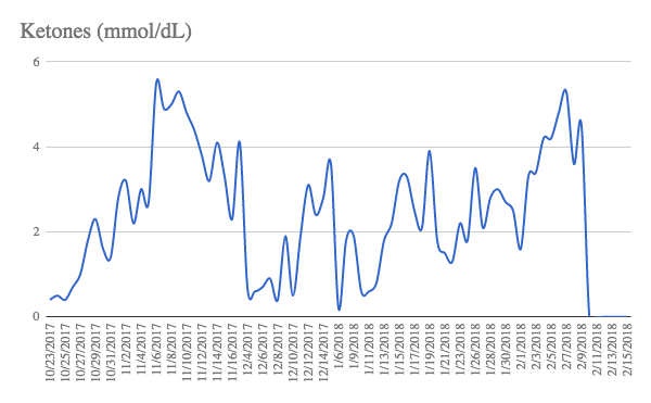 Keto Chow Experiment Test Results Ketones