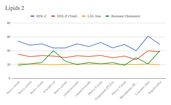 Keto Chow Experiment Test Results Lipids 2