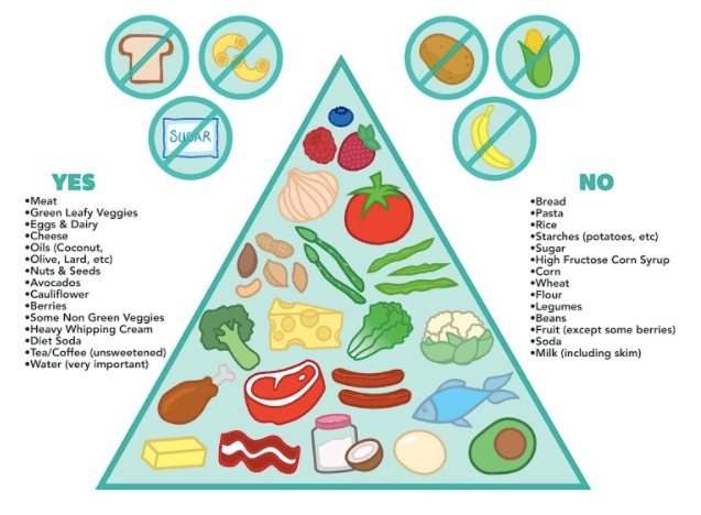 Keto Diet Information