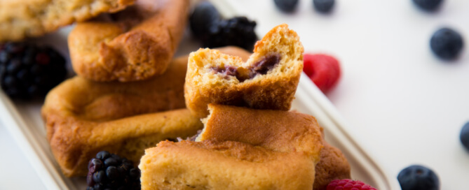 Fruit No-Grain Bars